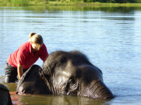 Elephant conservation holiday, Thailand