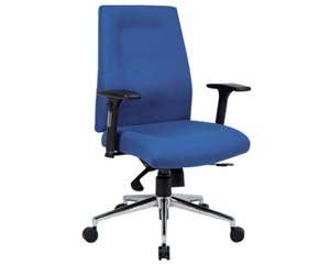 Unbranded Elsdon high back posture chair