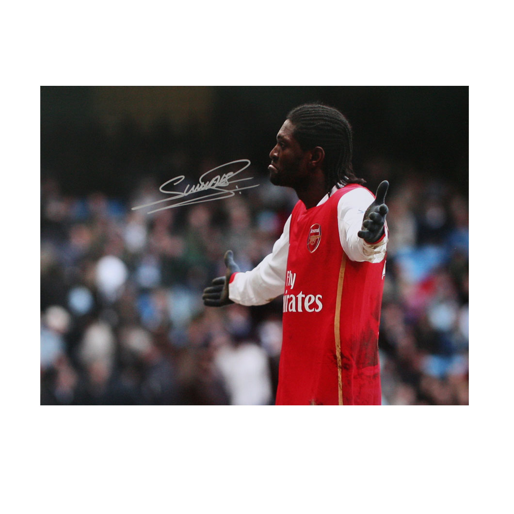 This photograph shows Emmanuel Adebayor celebrating after scoring for Arsenal against Manchester Cit