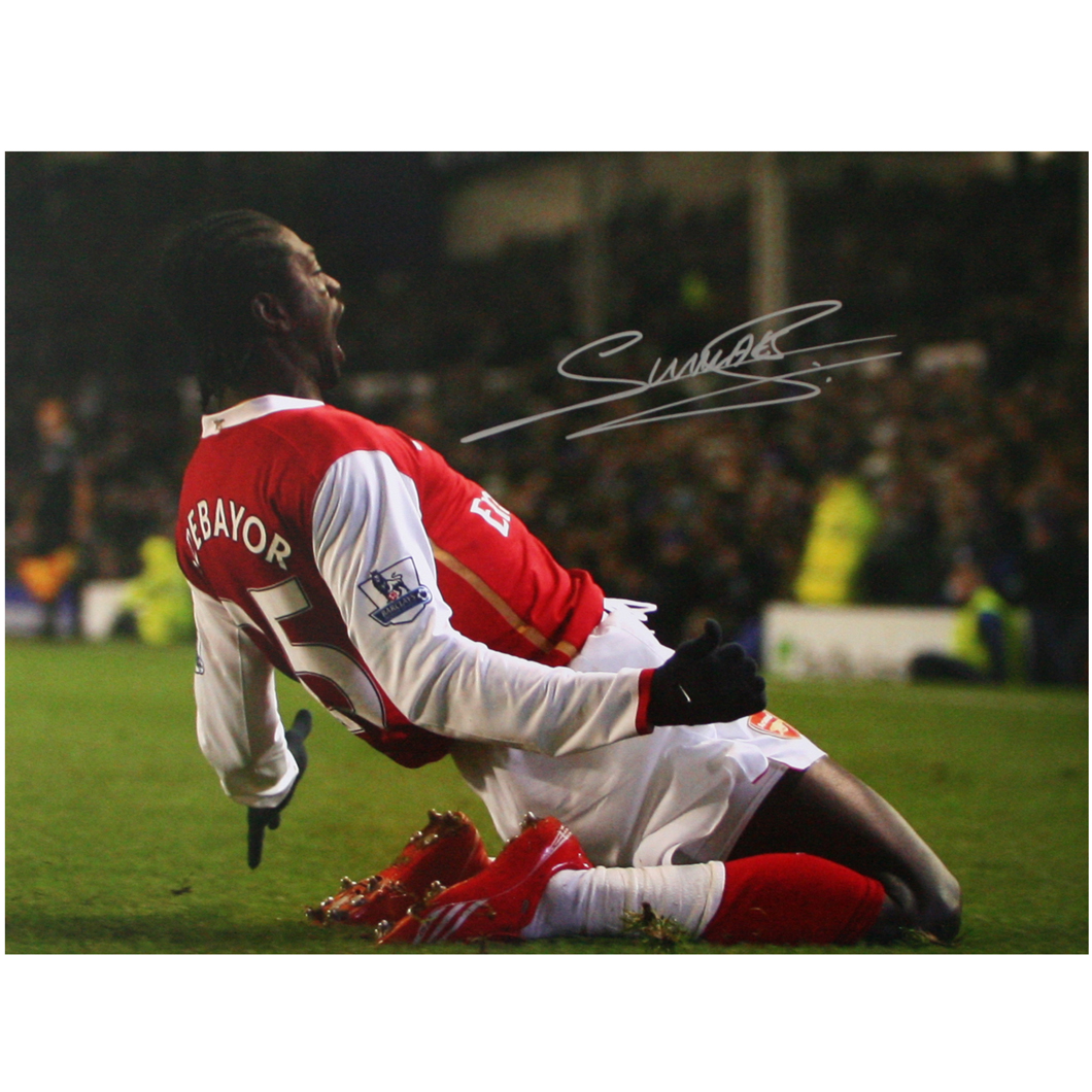 This photograph shows Emmanuel Adebayor celebrating a goal for Arsenal against Everton at Goodison P