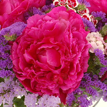 Unbranded English Garden Bouquet - flowers