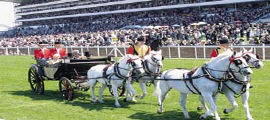 Unbranded Enjoy all the fun and glamour of Ladies Day at Royal Ascot in York for 1 night - executive coach travel included