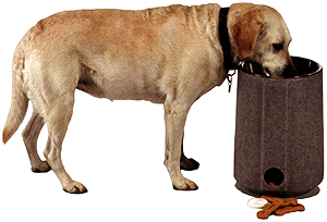 By raising your dog`s food to a convenient height, the ergonomic feeder helps with digestion and the