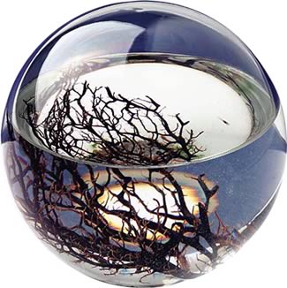 Invented by NASA Scientists, The Ecosphere is the Worlds first totally enclosed Ecosystem - a