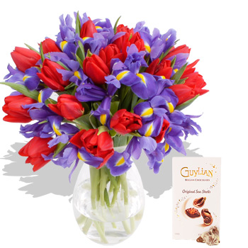 Unbranded Extra Large Tulips and Iris and Chocolates -