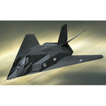Unbranded F-117A Stealth USAF `Black Sheep`