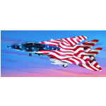 Unbranded F-14 Tomcat `Stars And Stripes`