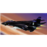 Unbranded F-14 Tomcat US Navy `Black Bunny`