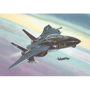 Unbranded F-14A Black Tomcat plastic kit 1:144