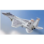 Unbranded F-15 Eagle U.S.A.F.E `Wolfhounds`