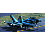 Unbranded F/A-18 Hornet US Navy `Top Gun`