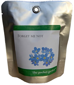 Unbranded Fabulous Forget Me Not