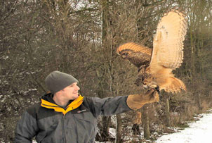 Bird handling lesson and the opportunity to fly a variety of birds of prey