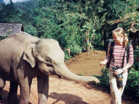 Unbranded Family holiday in Sri Lanka, elephant heaven