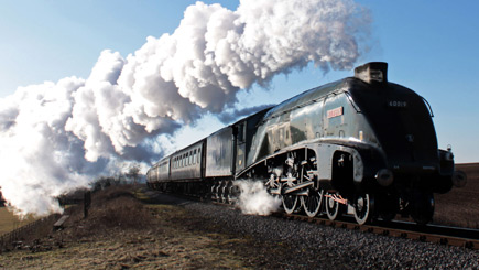 Unbranded Family Steam Trip