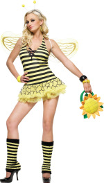 The Adult 4 Piece Queen Bee Costume includes a headpiece, wings, petticoat dress and fuzzy leg warme