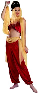This quality costume consists of vest with attached veils, bandeau top, pantaloons with attached vei