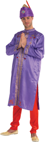 Unbranded Fancy Dress - Adult Bollywood Star Purple and Red Costume