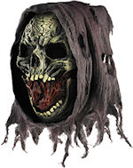 Unbranded Fancy Dress - Adult Death Mask with Attached Hood