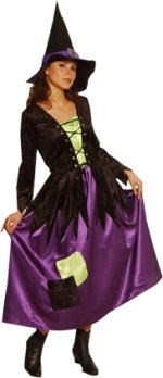 Unbranded Fancy Dress - Adult Deluxe Witch Costume