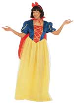 Unbranded Fancy Dress - Adult Fairyland Princess (FC)