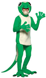 Unbranded Fancy Dress - Adult Gecko Costume
