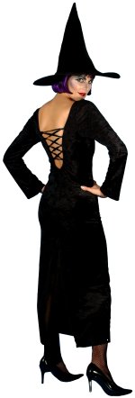 Unbranded Fancy Dress - Adult Gothic Velvet Witch Costume