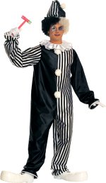 Unbranded Fancy Dress - Adult Harlequin Clown Costume