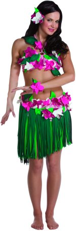 Unbranded Fancy Dress - Adult Hawaiian Hula Girl Costume