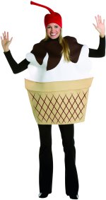 Unbranded Fancy Dress - Adult Ice Cream Sundae Costume