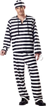 Unbranded Fancy Dress - Adult Jailbird Costume