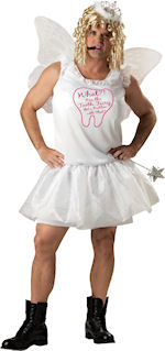 Unbranded Fancy Dress - Adult Magical Tooth Fairy Costume
