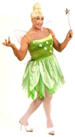 Unbranded Fancy Dress - Adult Male Forest Fairy Costume