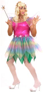 Unbranded Fancy Dress - Adult Male Rainbow Fairy Costume