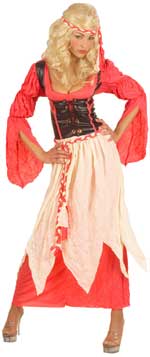 Unbranded Fancy Dress - Adult Medieval Maid Costume