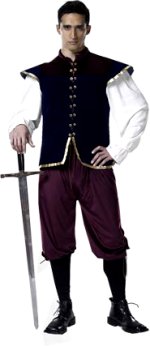 Unbranded Fancy Dress - Adult Medieval Nobleman