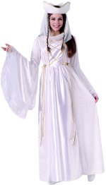 Unbranded Fancy Dress - Adult Medieval Princess