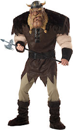 Unbranded Fancy Dress - Adult Mighty Viking Costume