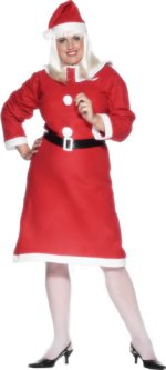 Unbranded Fancy Dress - Adult Miss Santa Bargain Dress (FC)