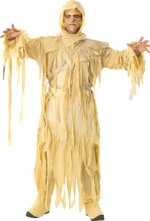 Unbranded Fancy Dress - Adult Mummy King Costume