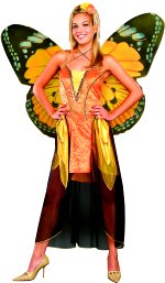 Unbranded Fancy Dress - Adult Orange Butterfly Costume