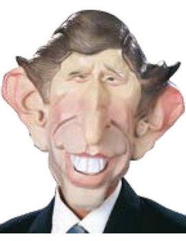 Unbranded Fancy Dress - Adult Prince Charles Caricature Mask
