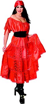 Unbranded Fancy Dress - Adult Princess Pirate Costume