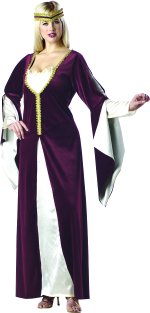 Unbranded Fancy Dress - Adult Regal Princess Renaissance Costume (FC)