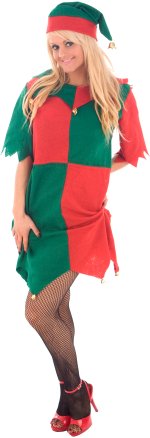 Unbranded Fancy Dress - Adult Sexy Lady Elf Christmas Costume