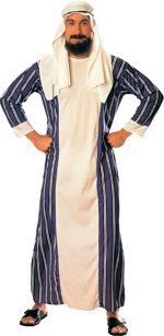 Unbranded Fancy Dress - Adult Sheik Gown