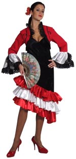 Unbranded Fancy Dress - Adult Spanish Lady Costume