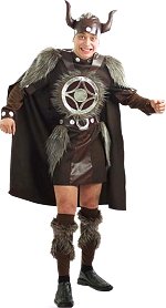 Unbranded Fancy Dress - Adult Thor Viking Costume