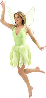 Unbranded Fancy Dress - Adult Tinker Bell Costume Small