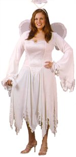Unbranded Fancy Dress - Adult Velvet Angel Costume (FC)